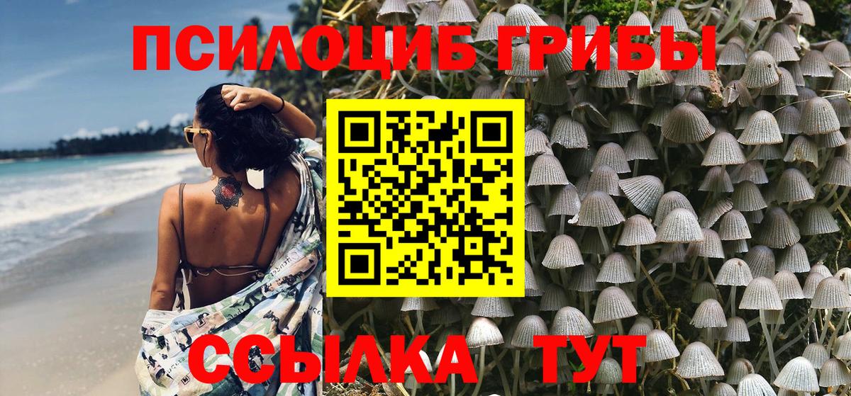 Псилоцибиновые грибы Magic Shrooms Уварово